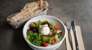 Burrata, arugula - cherry tomatoes, pesto, pizza sticks