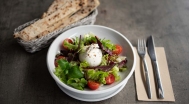 Burrata, grüne Salate und Kirschtomaten, Pesto, Pizza Stangli